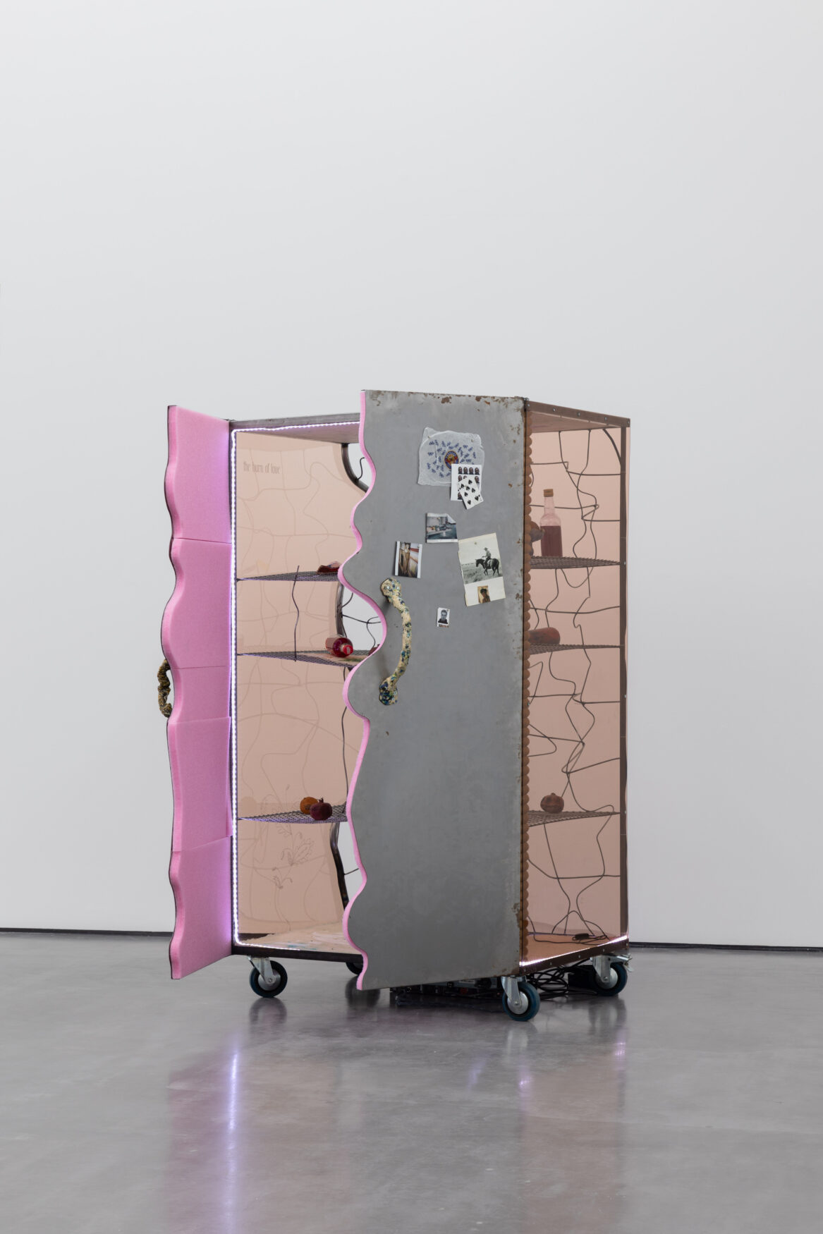 Magical Realism: Imagining Natural Dis/order – WIELS - Gaëlle Choisne