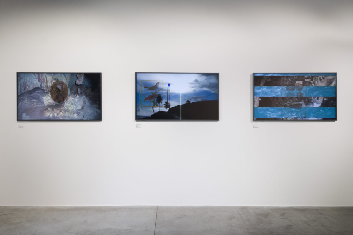 Reinventing Photography – Hangar - Gaëlle Choisne